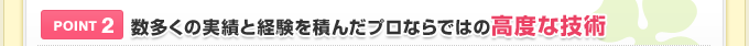 POINT 2．数多くの実績と経験を積んだプロならではの高度な技術